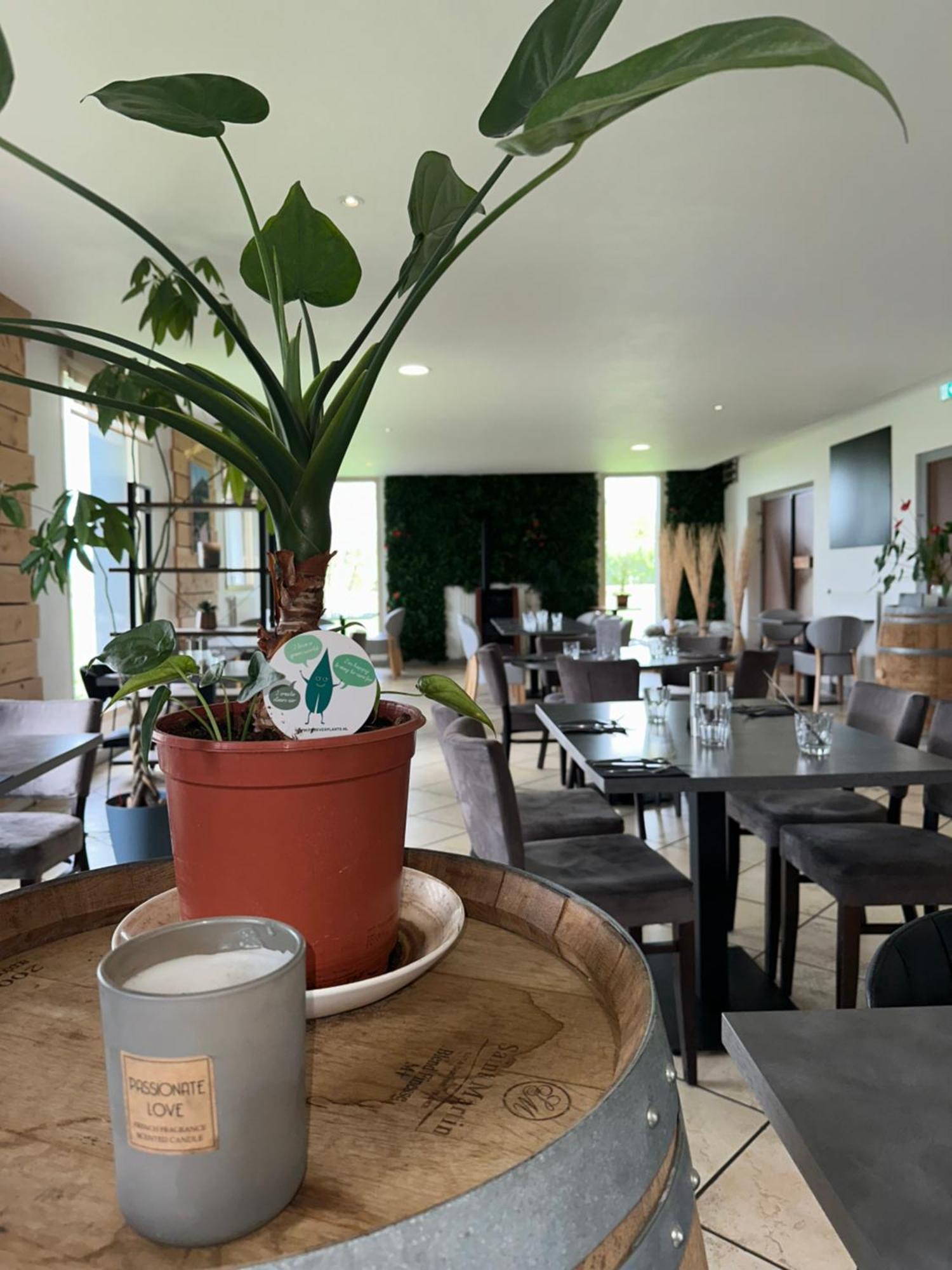 Nébouzat Logis Hotel Volcan Sancy מראה חיצוני תמונה